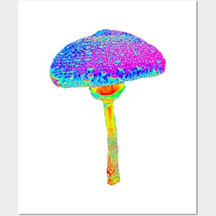 Mushroom Posters and Art